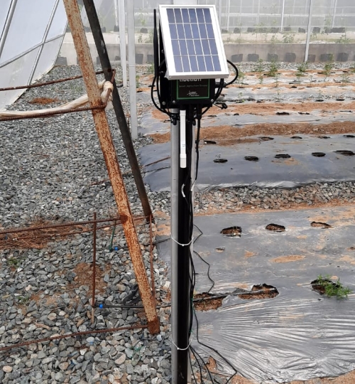 Cách bộ Smart Agriculture Xtreme được lắp đặt và lấy năng lượng hoạt động từ Solar panel