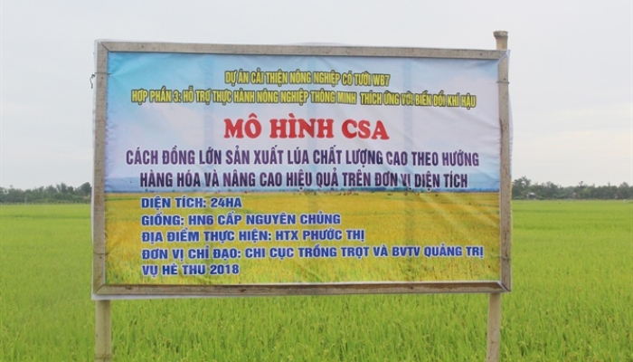 Nông nghiệp thông minh thích ứng với biến đổi khí hậu tại Quảng Trị
